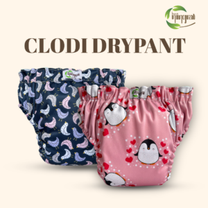 Drypant
